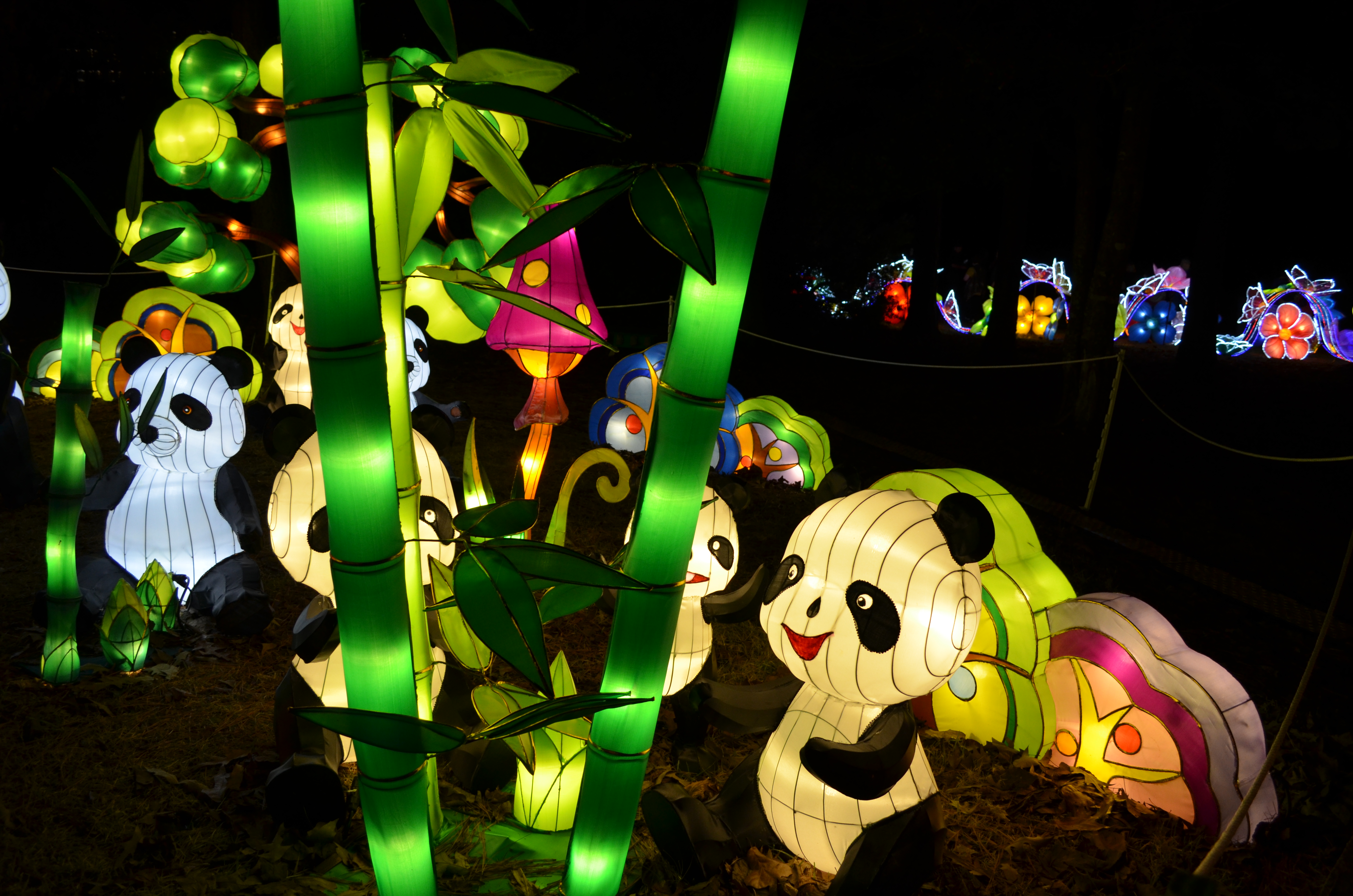 ./2015/33 - Chinese Lantern Festival/DSC_0648.JPG